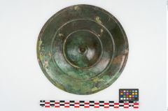 Foto von Bronzephalere (NHMW-PRAE-003458)